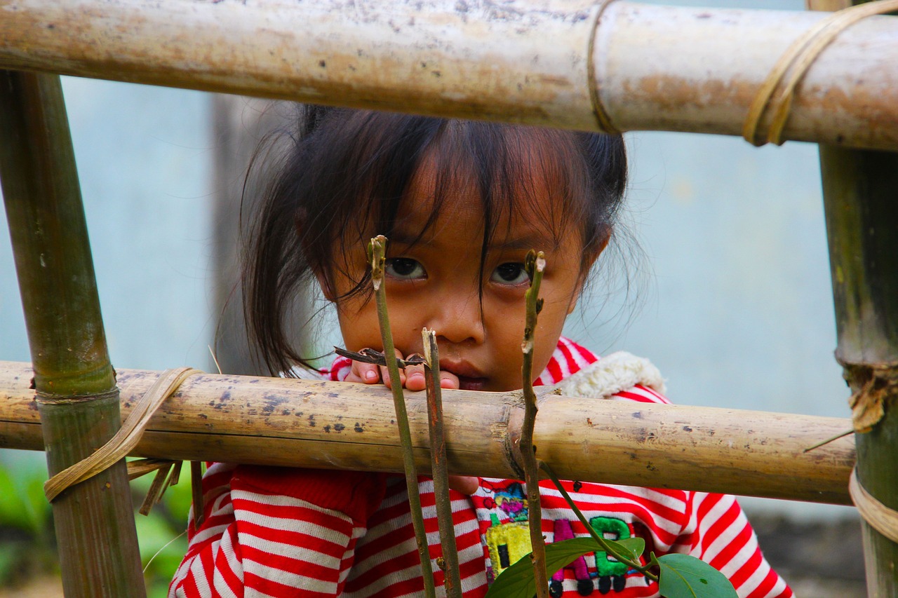 laos, girl child, staring, girl, child, asia, face, kid, person, dirty, poverty, fence, eastern, outdoors, orphan, young, homeless, poor, innocence, helpless, expression, portrait, lonely, sad, alone, despair, female, sad girl, unhappy, orphan, orphan, orphan, orphan, orphan, homeless, poor, helpless, sad girl